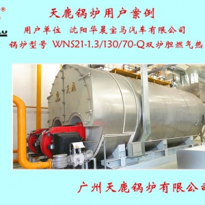 沈陽(yáng)華晨寶馬汽車(chē)有限公司一臺(tái)WNS21雙爐膽燃?xì)鉄崴仩t